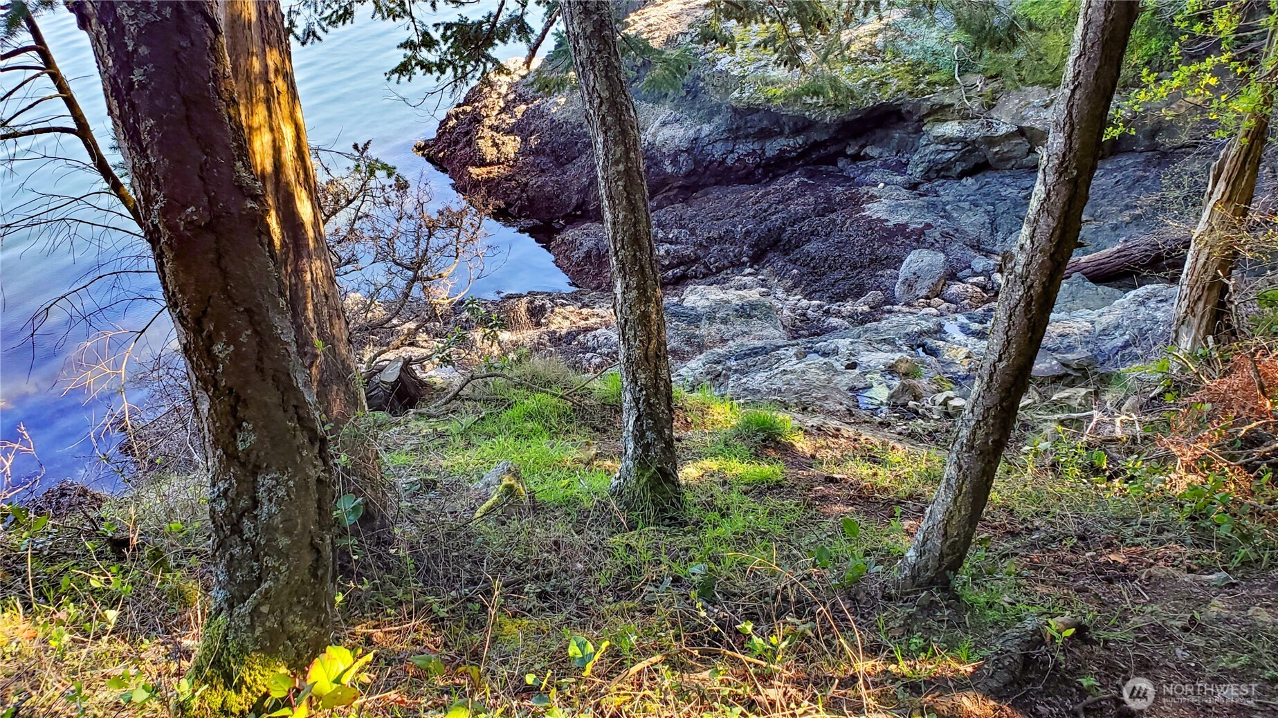79 Judd Cove Road Orcas Island, WA 98245 - Photo 9 of 40