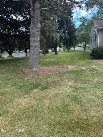 a view of a park with large trees