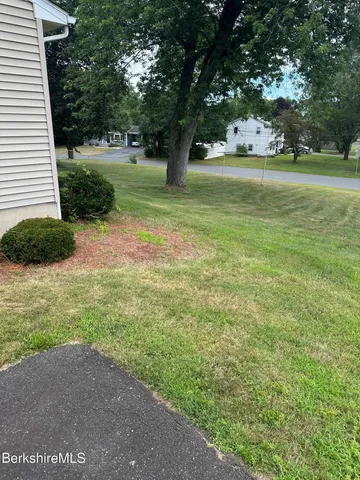 a view of a trees and yard