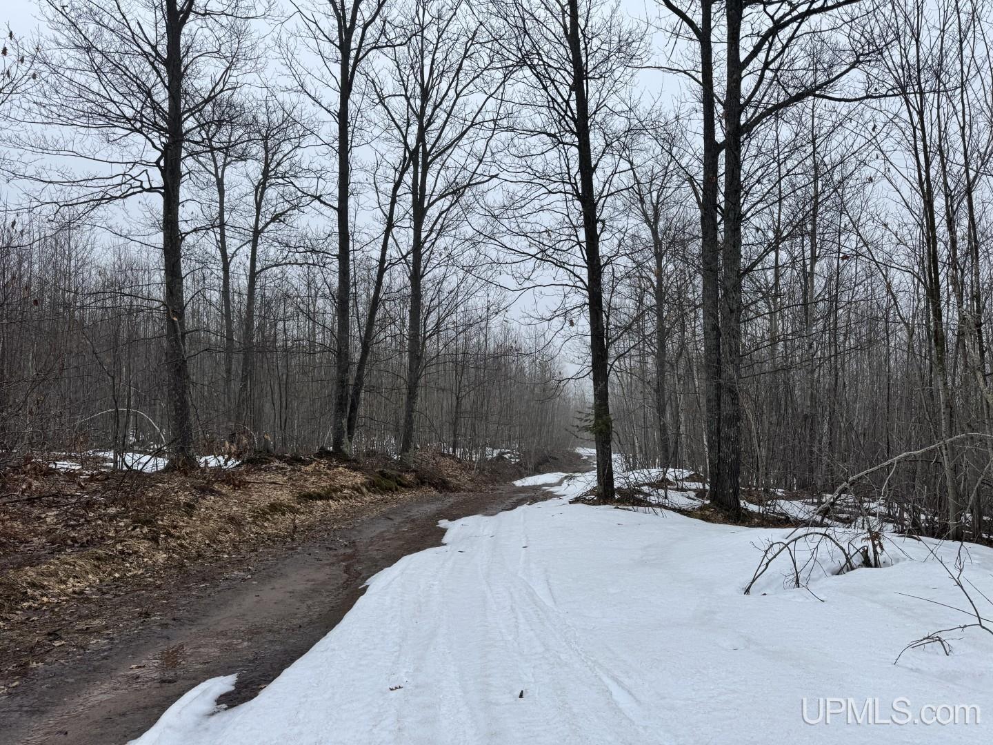 280-acres Off Pikes Peak Road Lanse, MI 49946 - Photo 6 of 21