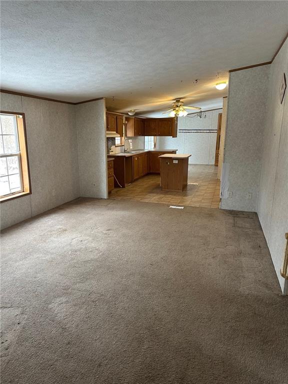 143 West Beechwood Road Bessemer, PA 16112 - Photo 4 of 18