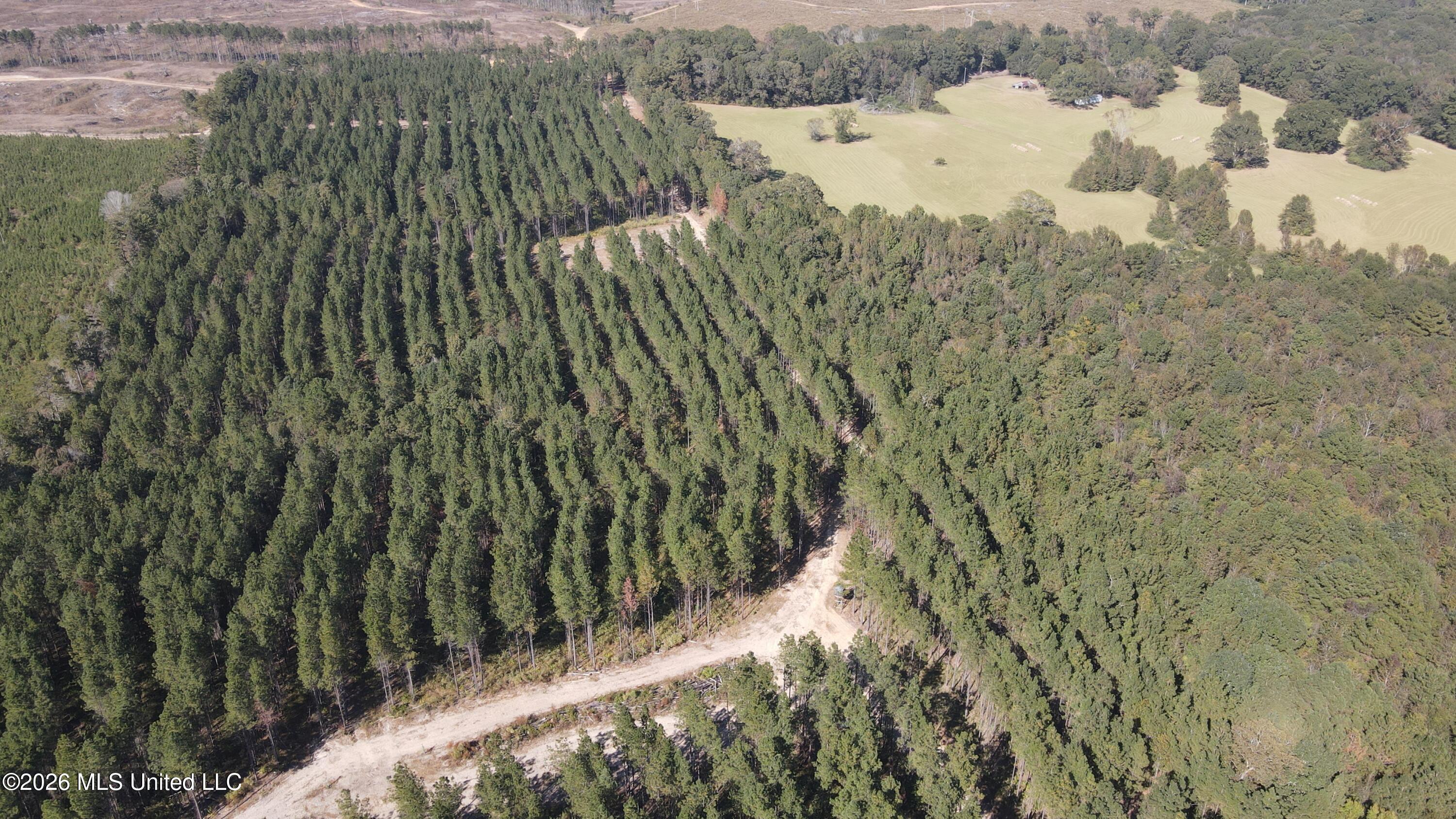 Loyd Irby Road Pelahatchie, MS 39145 - Photo 28 of 30 DJI_0208