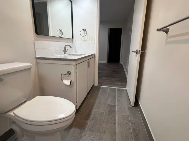 a bathroom with a sink a toilet a mirror and vanity