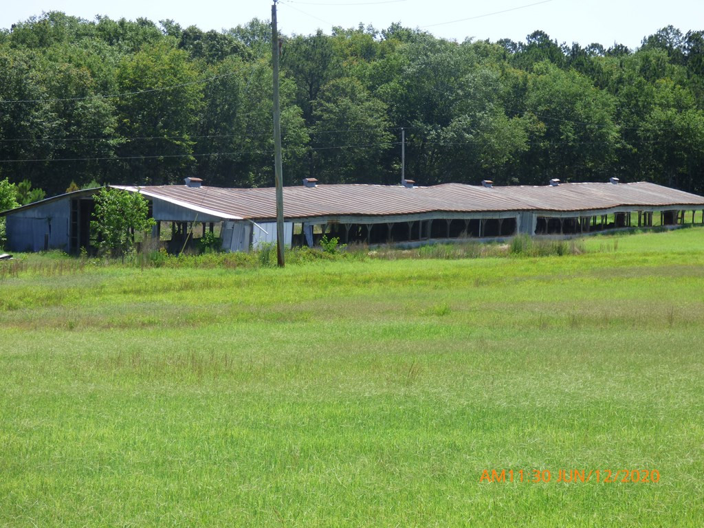 1615 Dairy Road Monetta, SC 29105 - Photo 25 of 30