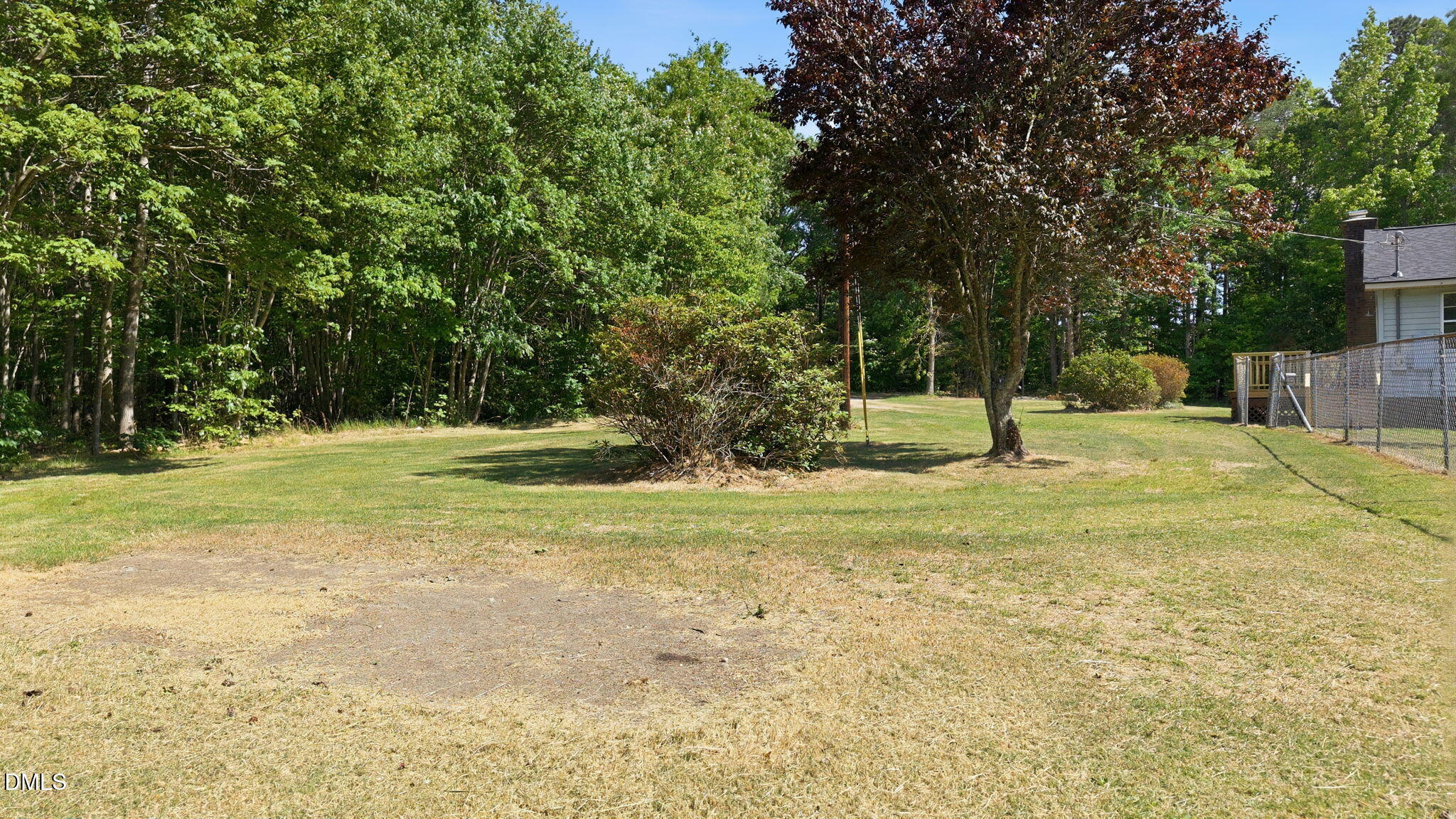 3602 Harrison Road Castalia, NC 27816 - Photo 14 of 48 a view of a yard with a tree