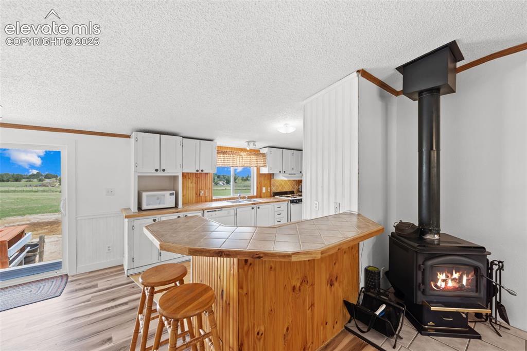6245 Peerless Farms Road Peyton, CO 80831 - Photo 9 of 42