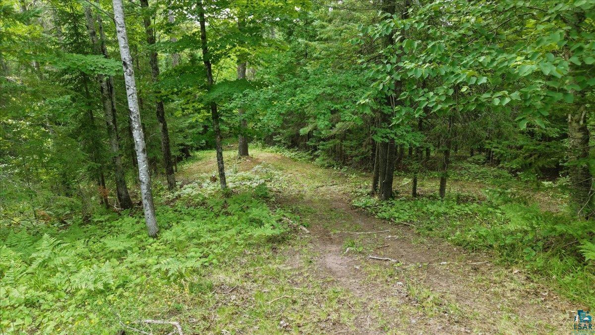 3785 County Rd D Poplar, WI 54864 - Photo 10 of 12