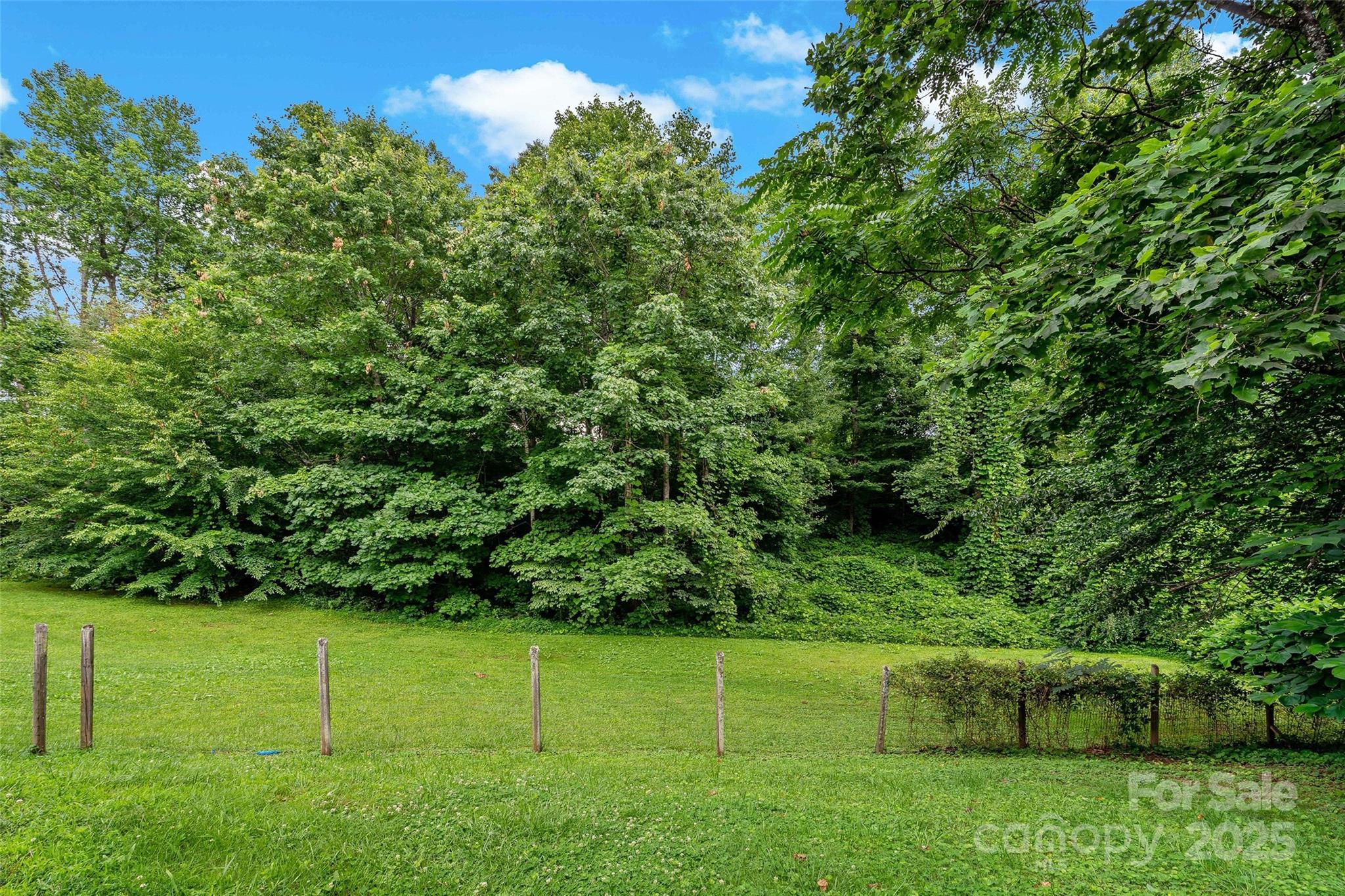 2526 Hankins Road Marion, NC 28752 - Photo 3 of 42