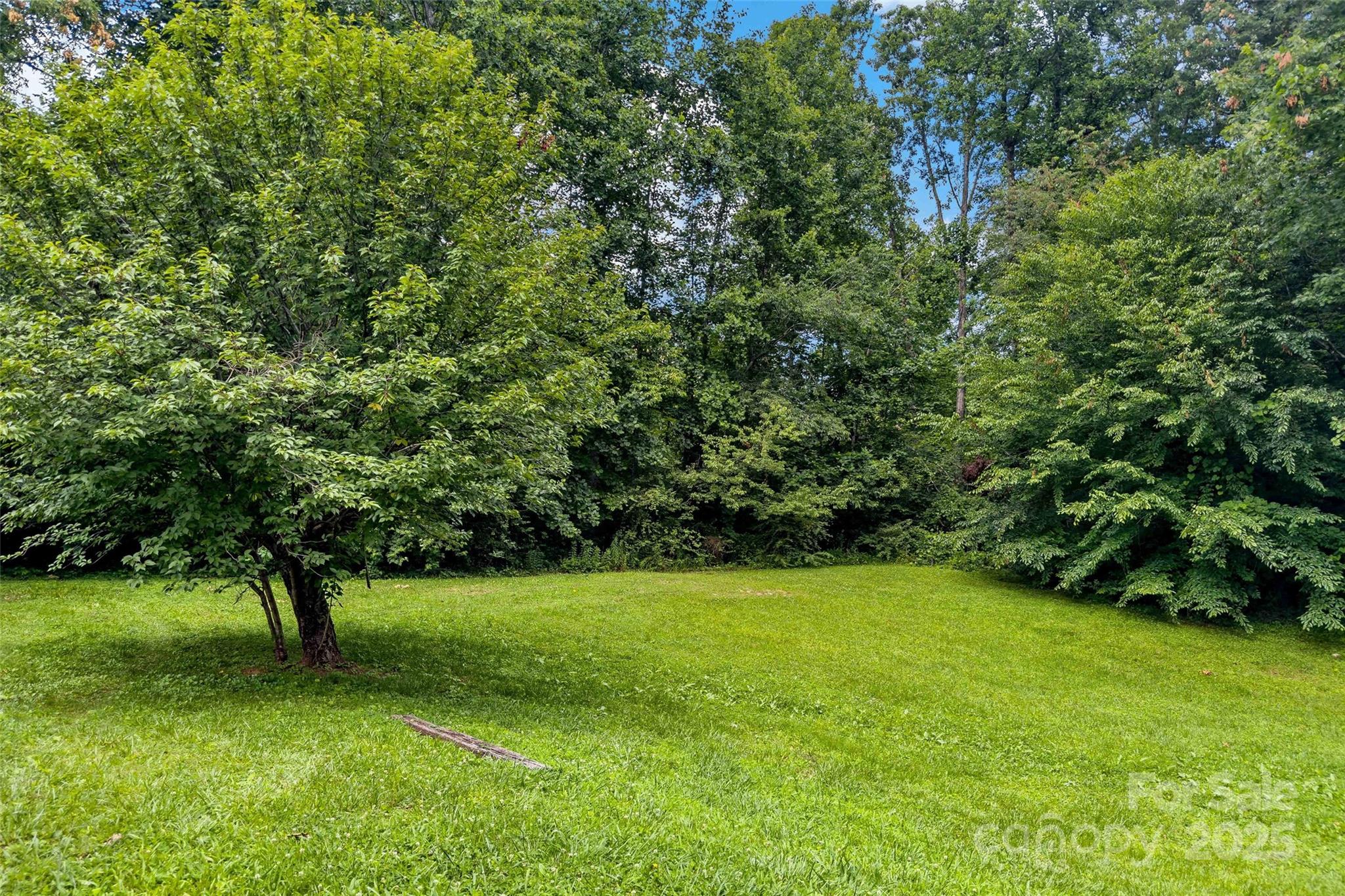 2526 Hankins Road Marion, NC 28752 - Photo 4 of 42