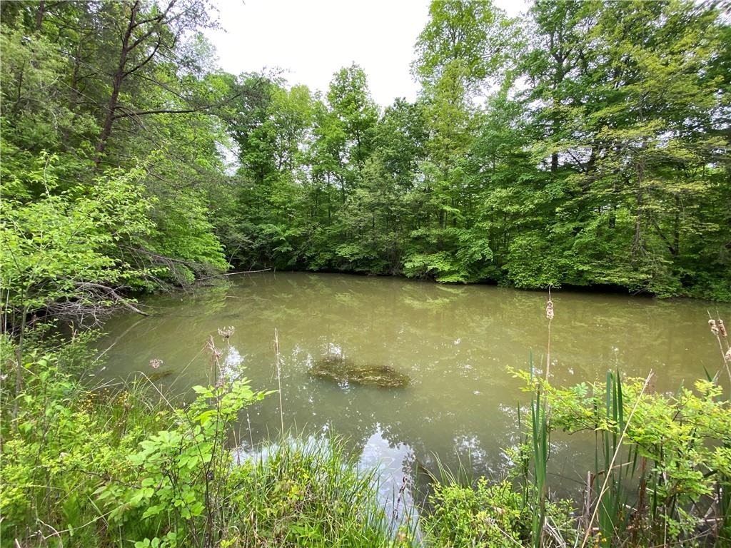 197 East Fall Creek Road Spencer, IN 47460 - Photo 14 of 47 Gallery Image 14