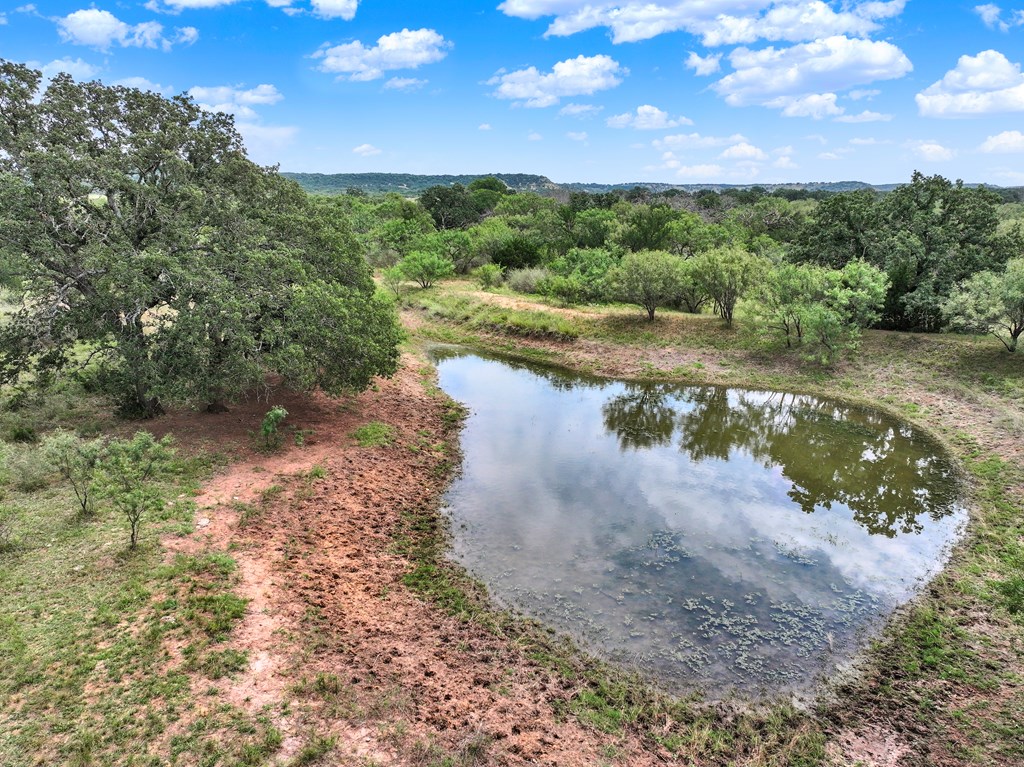 0 Langes Mill Road Doss, TX 78618 - Photo 4 of 15 Gallery Image 4