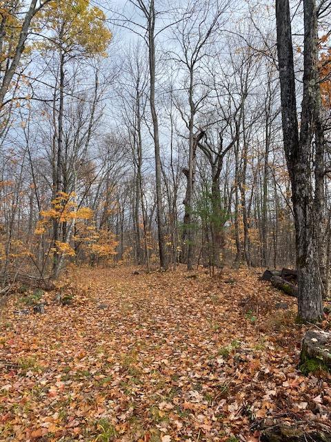 1 Tuttle's Corner Road Strong, ME 04983 - Photo 16 of 24 Land view