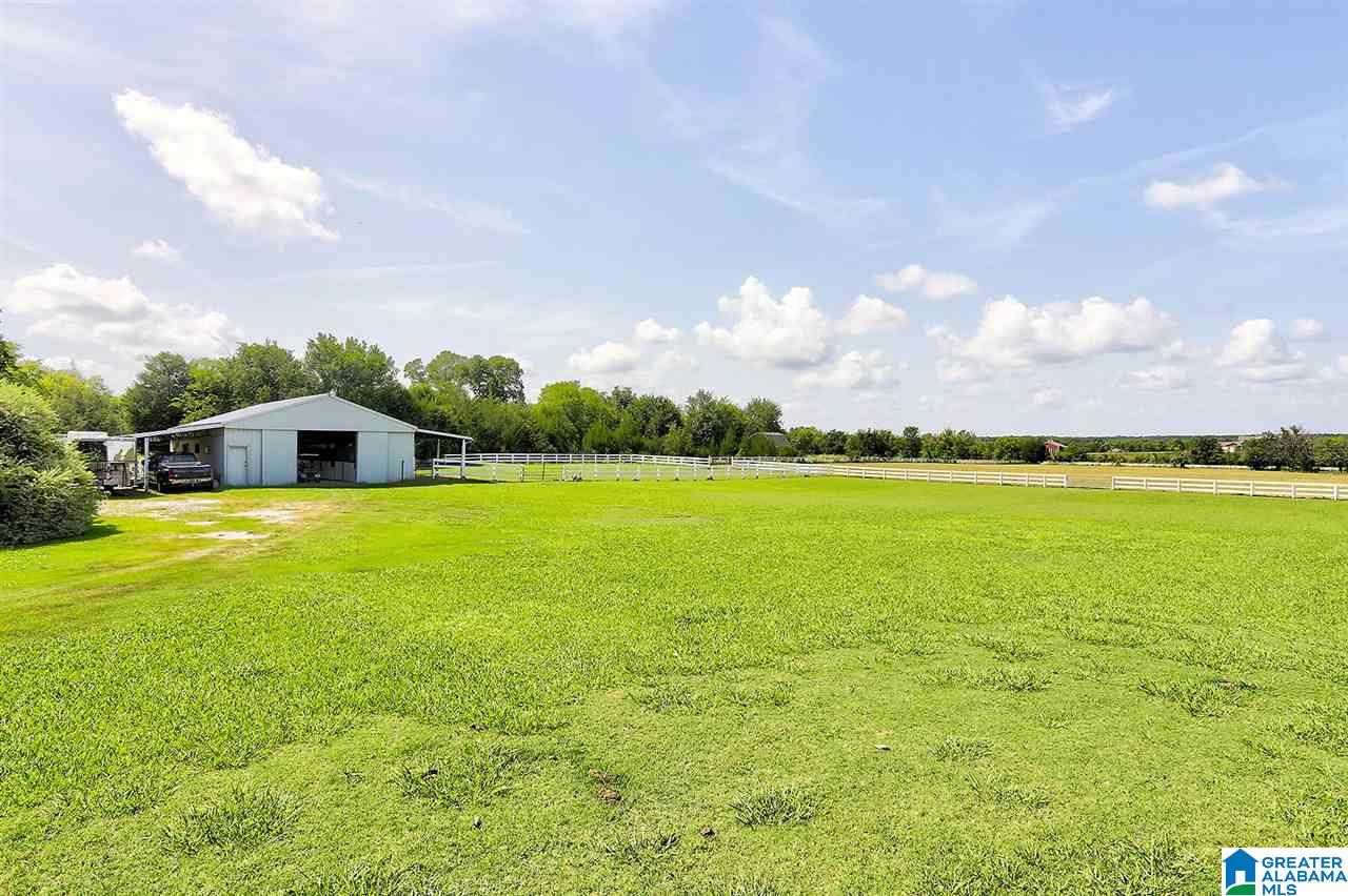 3041 Mathews Drive Mathews, AL 36052 - Photo 50 of 50