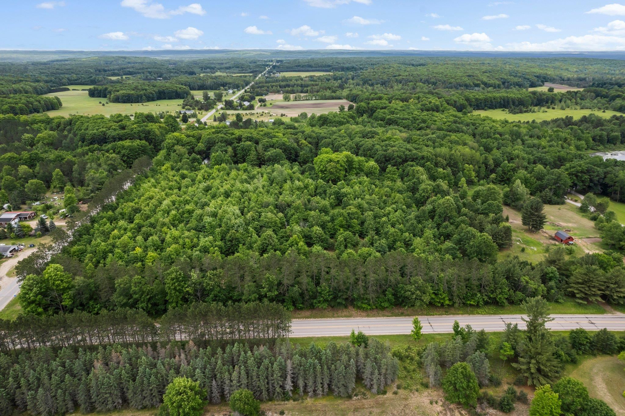 Puffer Road Fife Lake, MI 49633 - Photo 6 of 10