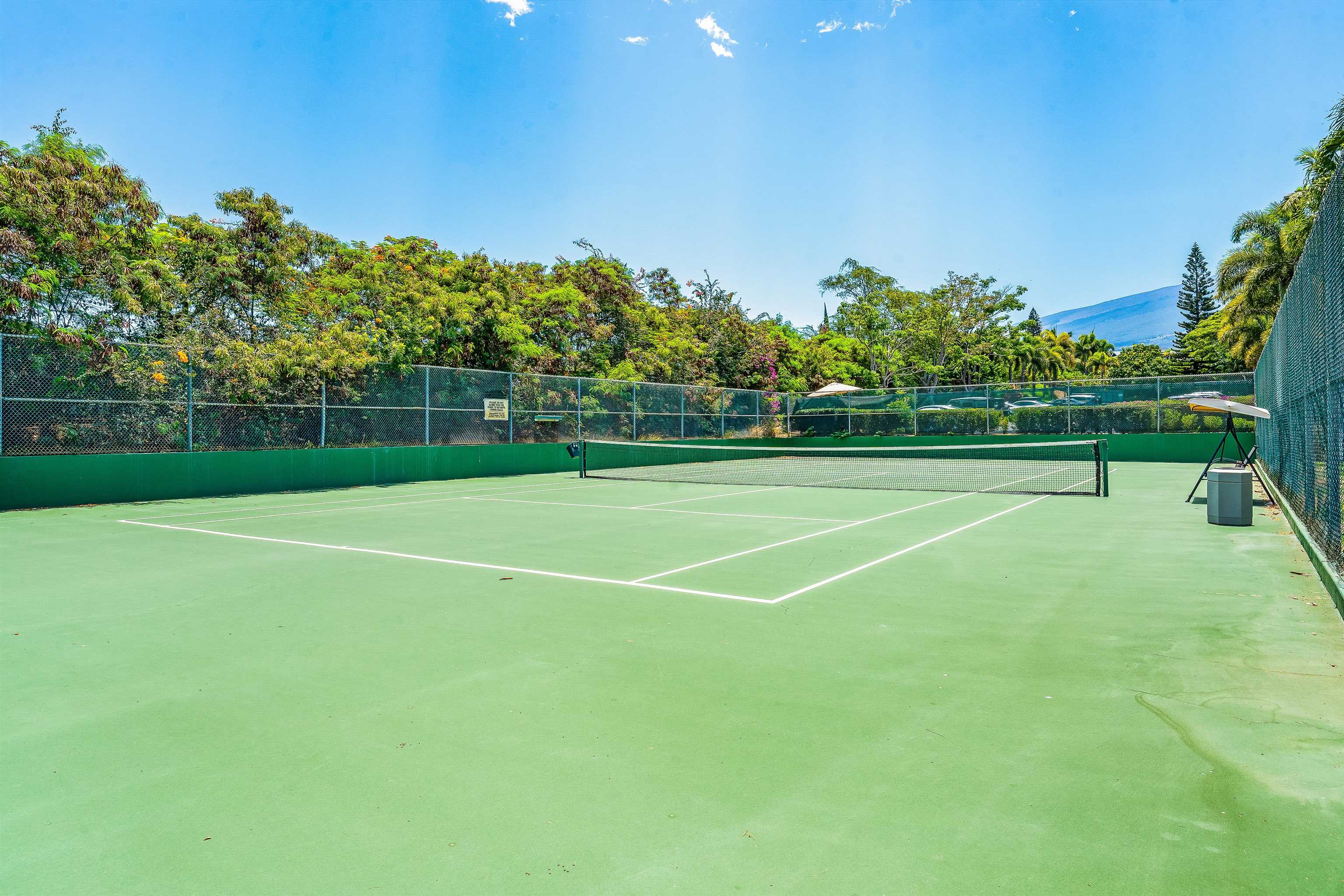 2575 South Kihei Road, Unit H207 Kihei, HI 96753 - Photo 28 of 31 a view of a tennis court