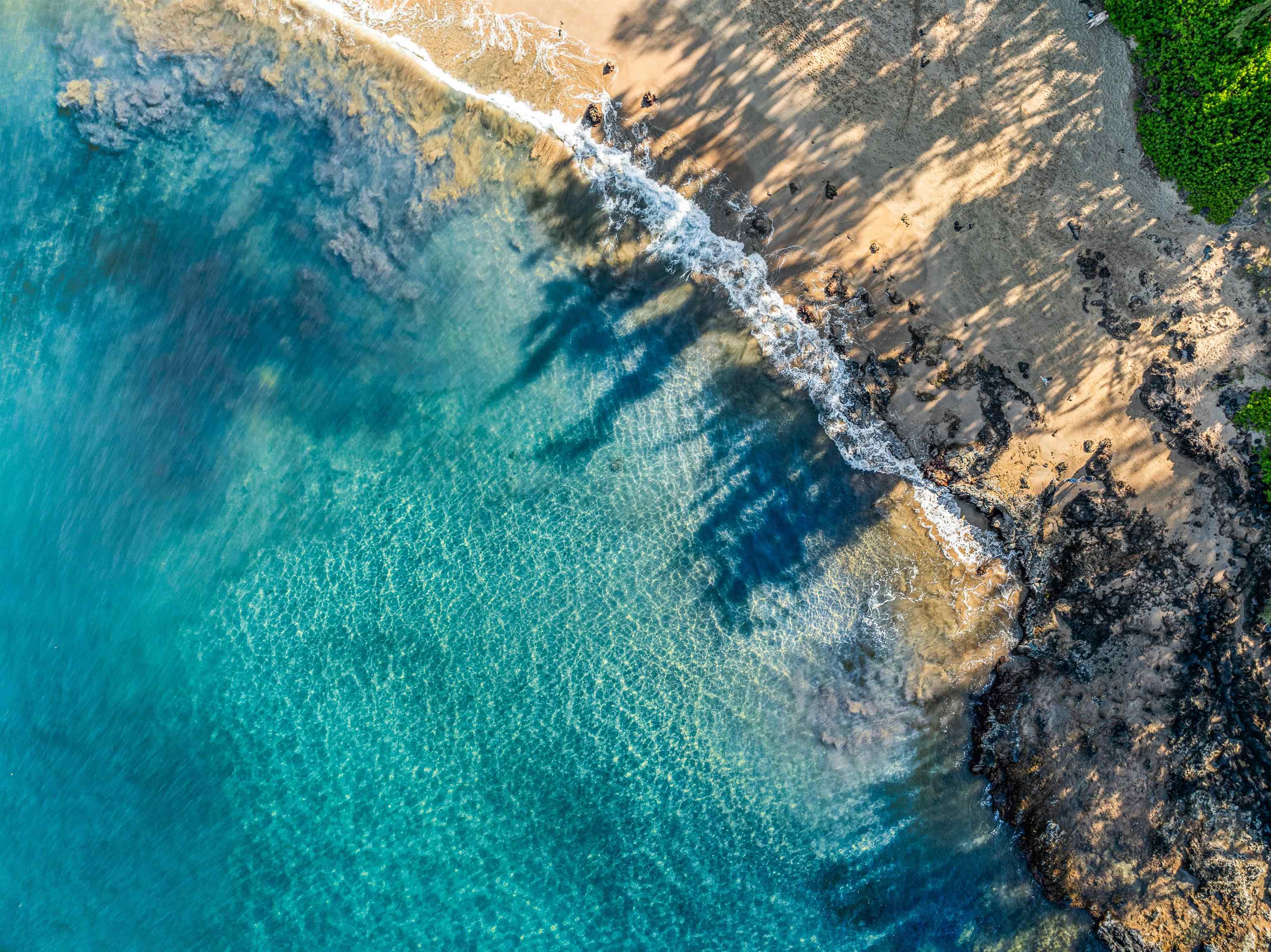 2575 South Kihei Road, Unit H207 Kihei, HI 96753 - Photo 31 of 31 a view of a lush green forest