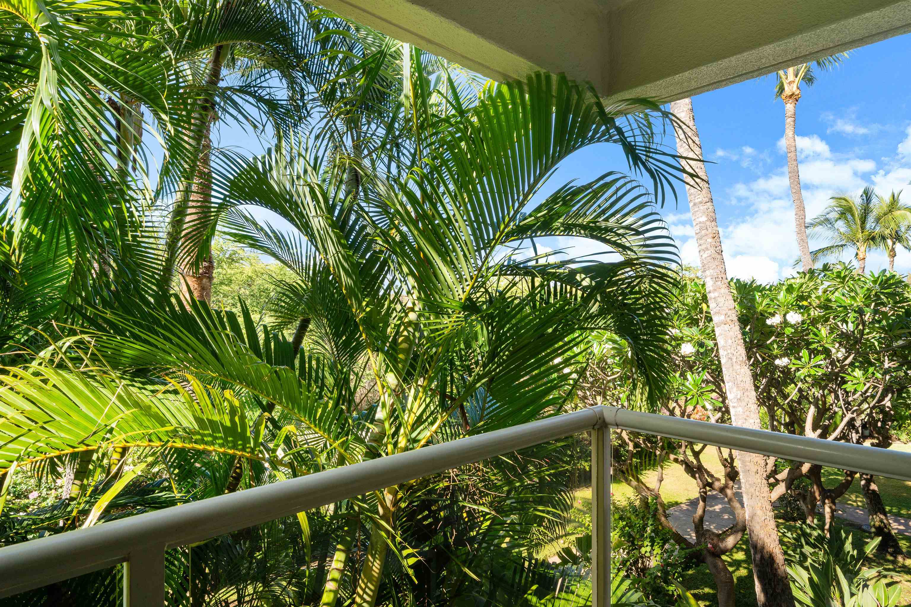 2575 South Kihei Road, Unit H207 Kihei, HI 96753 - Photo 6 of 31 a view of a balcony with plant