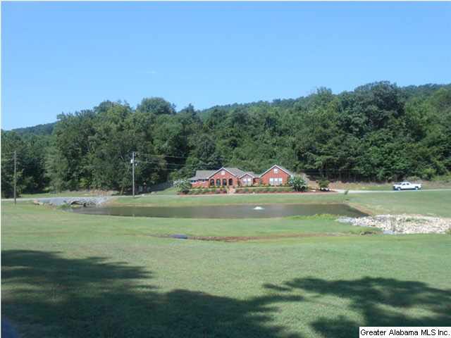 39 Price Lane Oneonta, AL 35121 - Photo 20 of 26