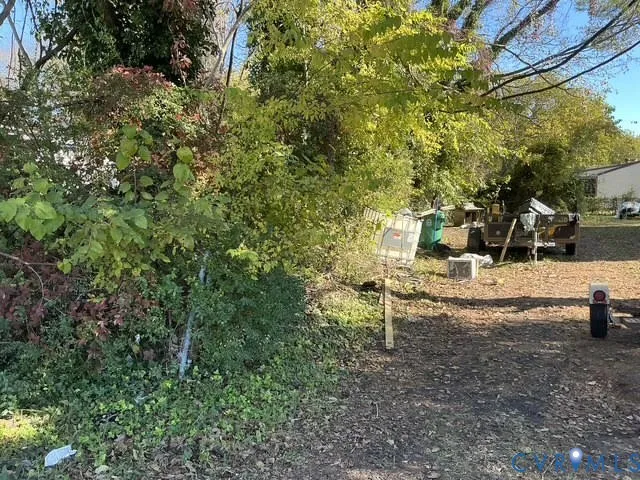 a view of a yard with plants