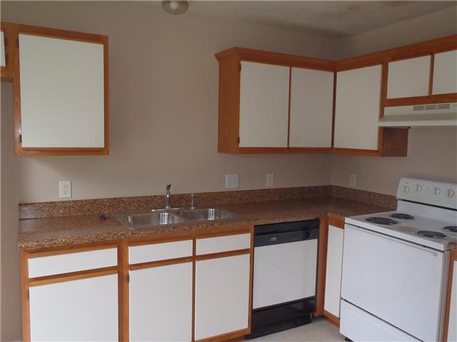 1206 Akins Ridge Drive La Vergne, TN 37086 - Photo 6 of 15 Kitchen with Brand New Counter Tops