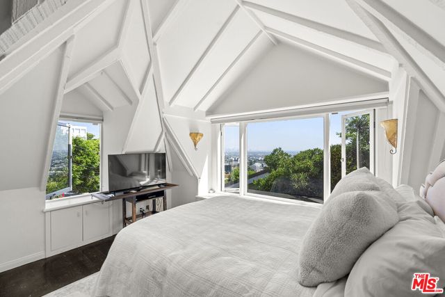 a view of a window and a tree in a window