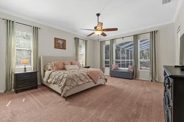 a bedroom with a bed and a television