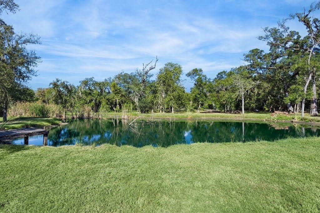 17502 Hamill Drive Rosharon, TX 77583 - Photo 7 of 39 Pond that is supplied by a Irrigation well on the property.