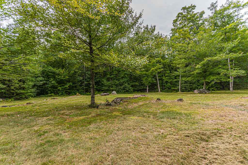 Tbd Dean Mountain Road Temple, ME 04984 - Photo 19 of 20 photo (7 of 21)