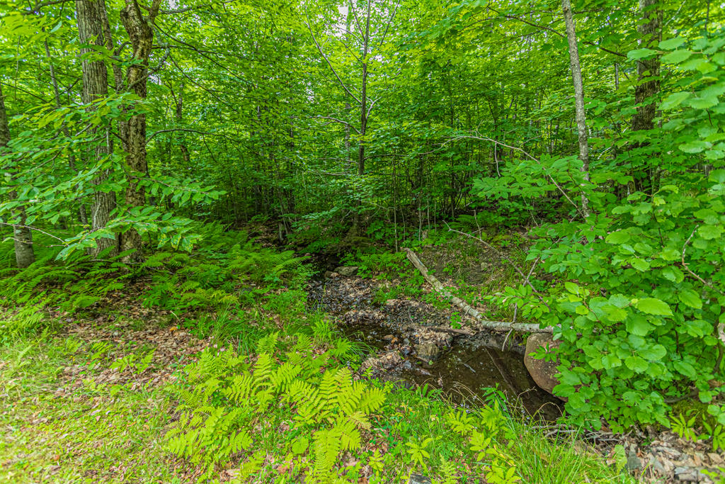 Tbd Dean Mountain Road Temple, ME 04984 - Photo 20 of 20 photo (21 of 21)