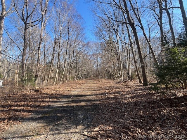 7 Green Valley Lake Road East Lyme, CT 06333 - Photo 1 of 1