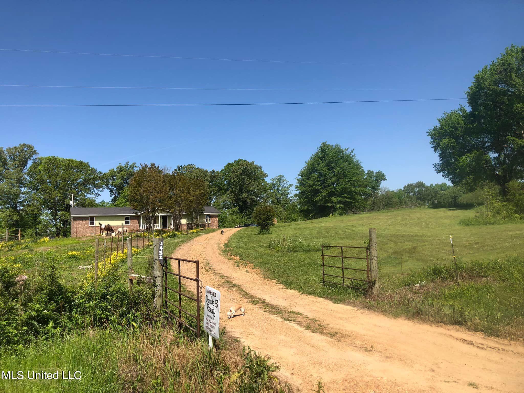 2432 Rader Creek Road Sarah, MS 38665 - Photo 3 of 23 2432 Rader Creek Road Road View