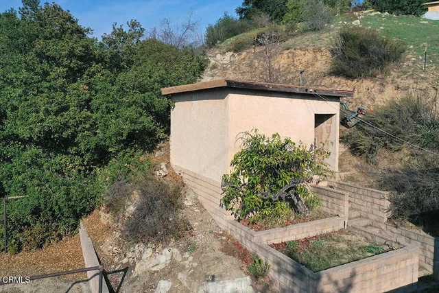 a view of a yard with potted plants