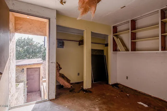 a view of a yard with plants