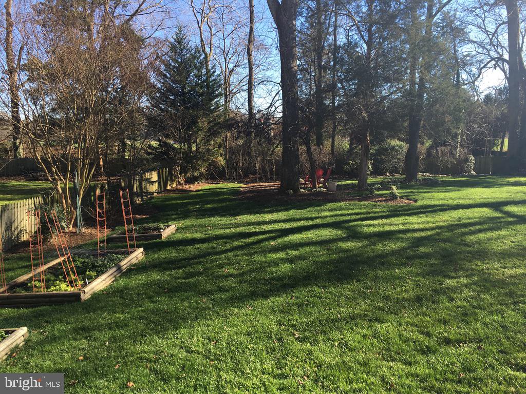 9119 Buckner Road Alexandria, VA 22309 - Photo 2 of 32 Large yard