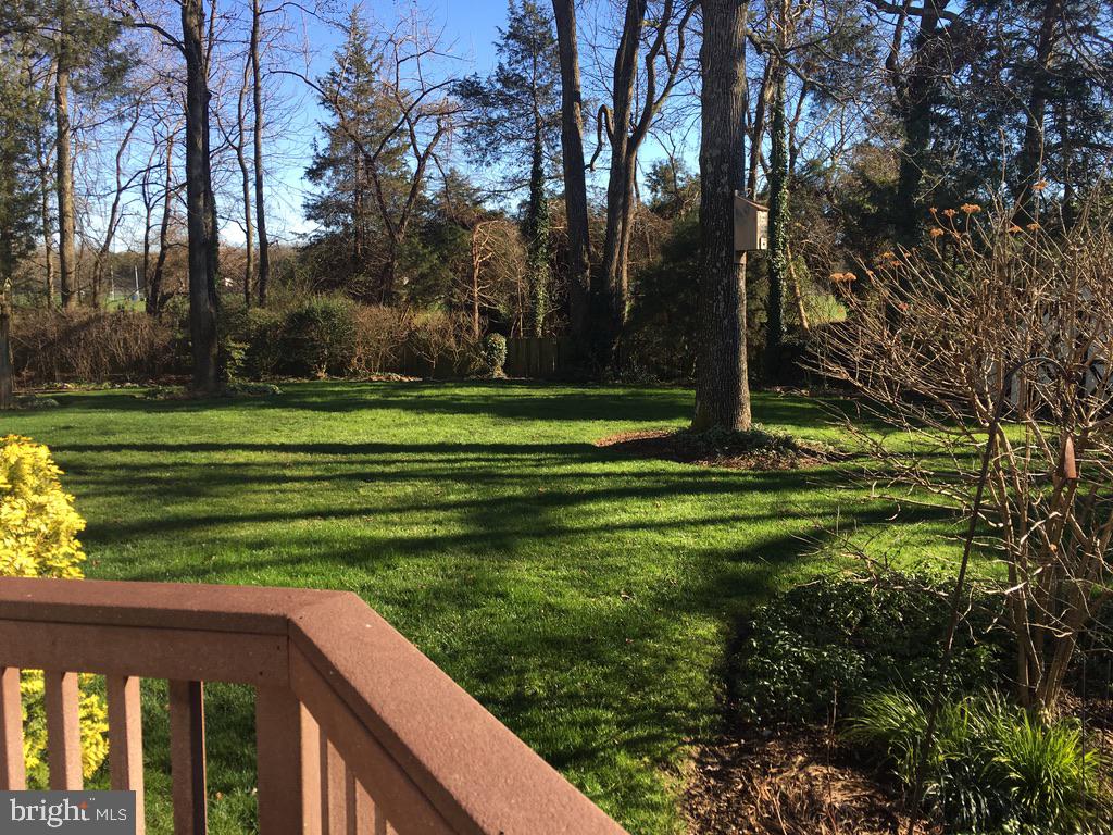 9119 Buckner Road Alexandria, VA 22309 - Photo 4 of 32 Private Yard