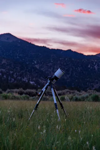 a view of a yard from a lake