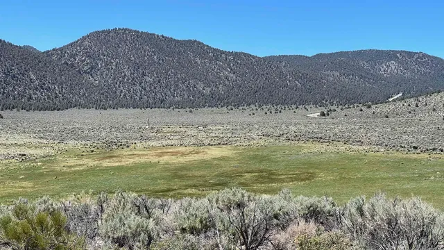 a view of a lake with a mountain in the background