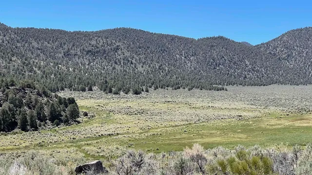 a view of a snow covered with snow