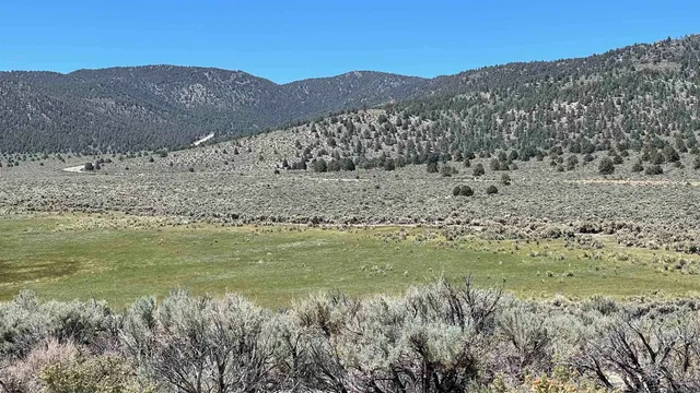 a view of a yard covered in snow