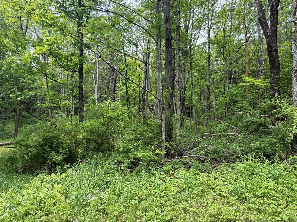 0 Straw Hill Road Barton, NY 13734 - Photo 2 of 6