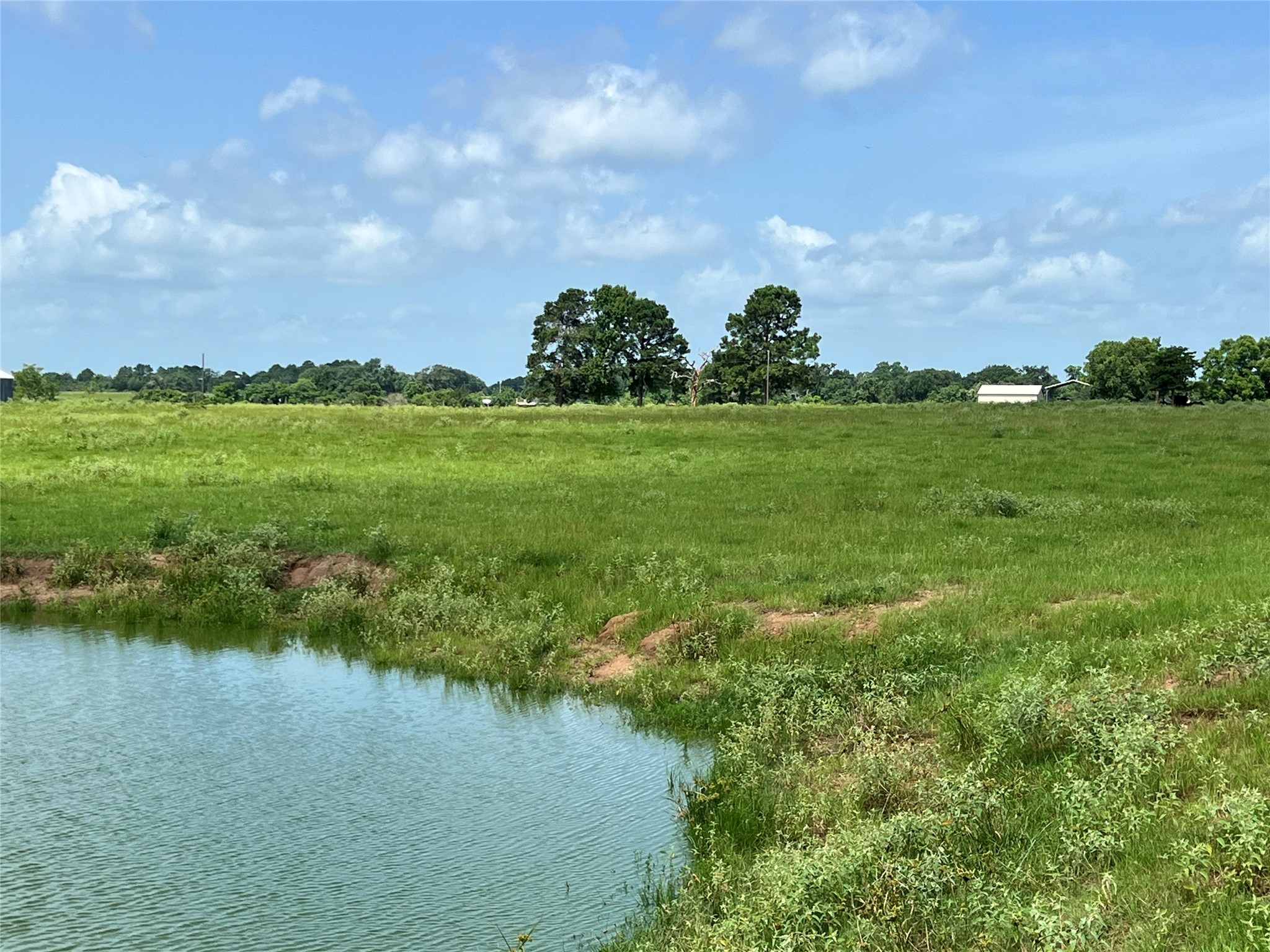 20573 Fontenot Lane Hempstead, TX 77445 - Photo 13 of 36 a view of a lake and yard