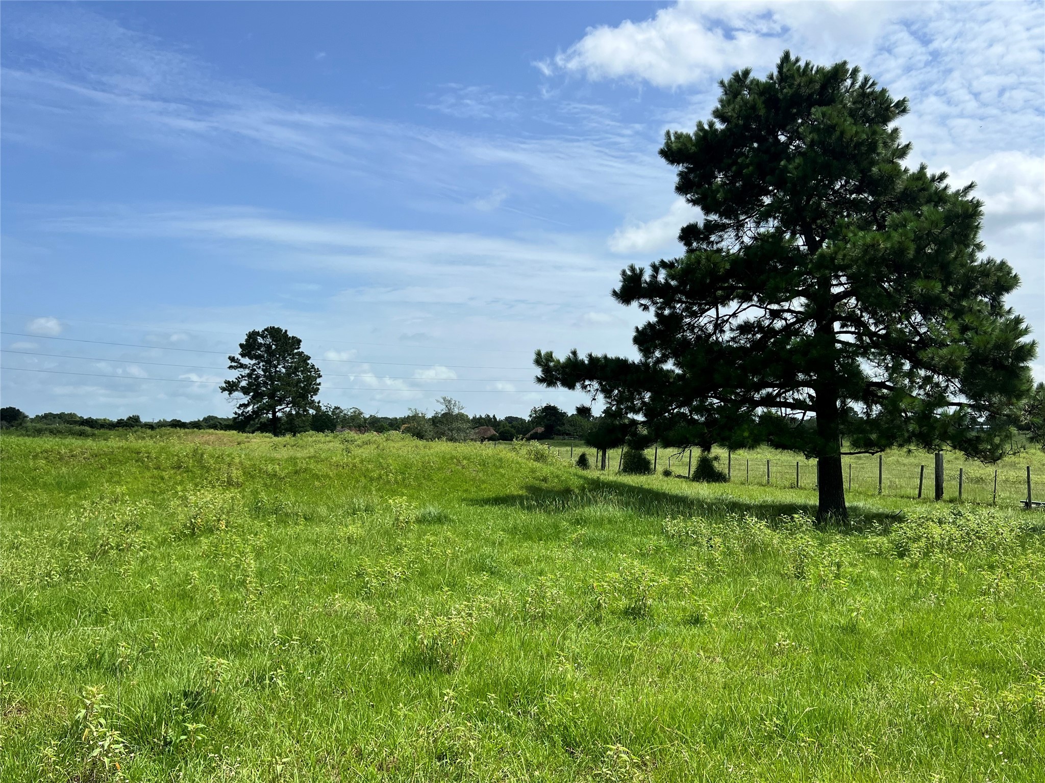 20573 Fontenot Lane Hempstead, TX 77445 - Photo 19 of 36