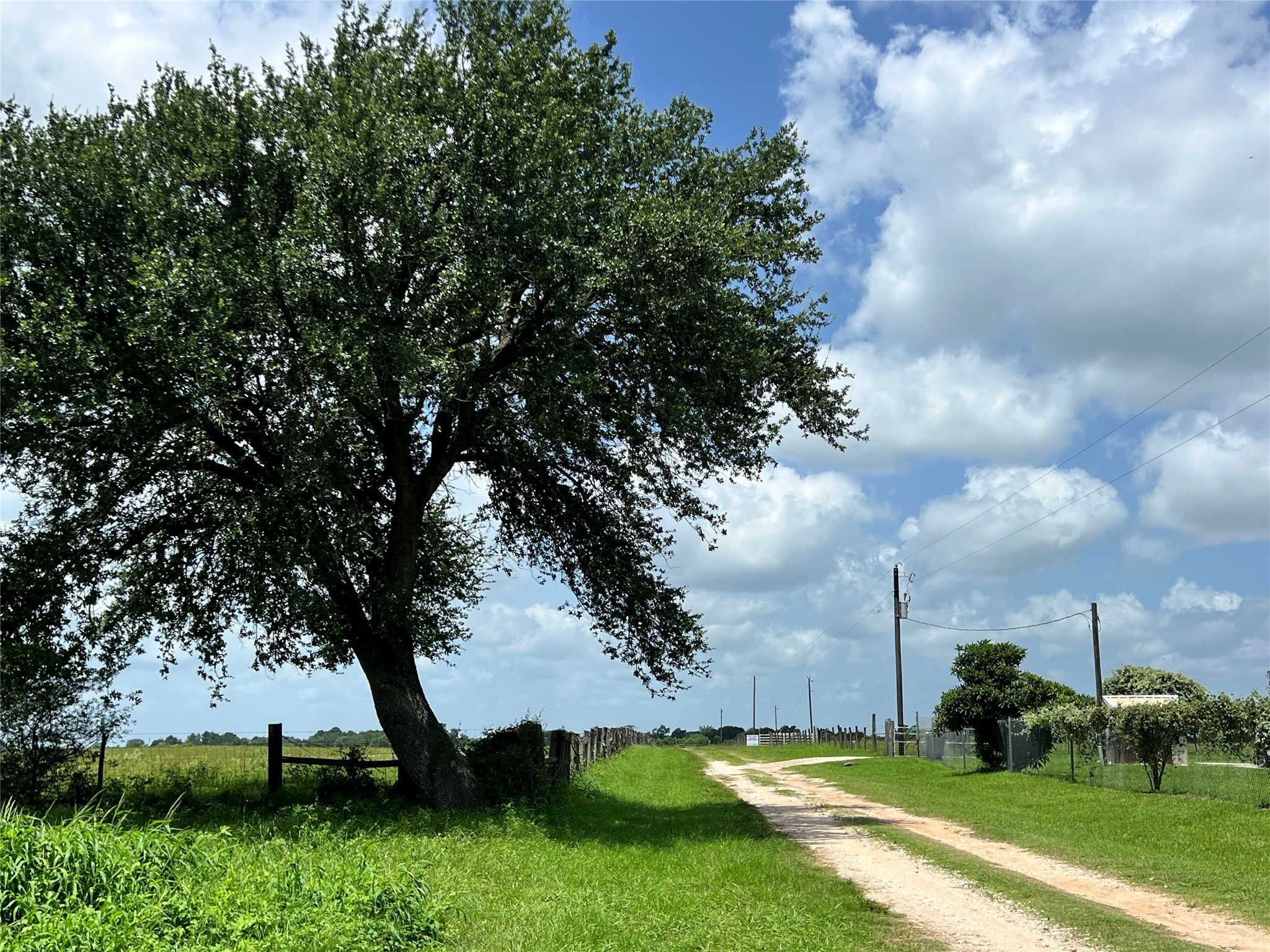 20573 Fontenot Lane Hempstead, TX 77445 - Photo 2 of 36 a view of a garden