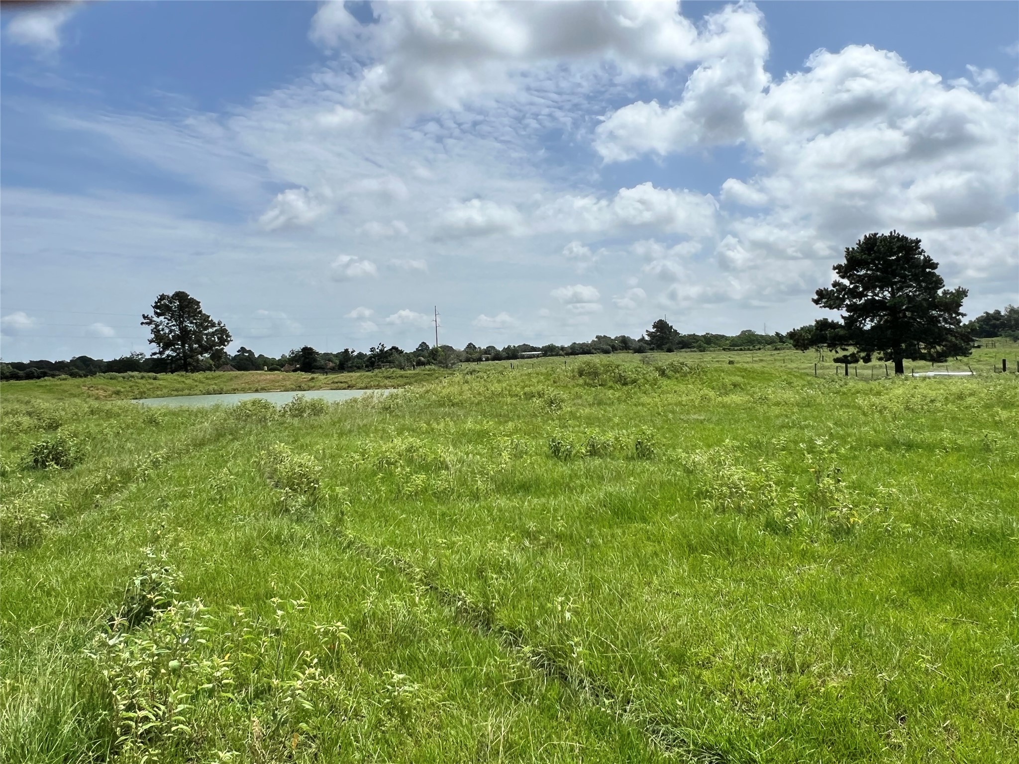 20573 Fontenot Lane Hempstead, TX 77445 - Photo 22 of 36 a front view of a house with a garden