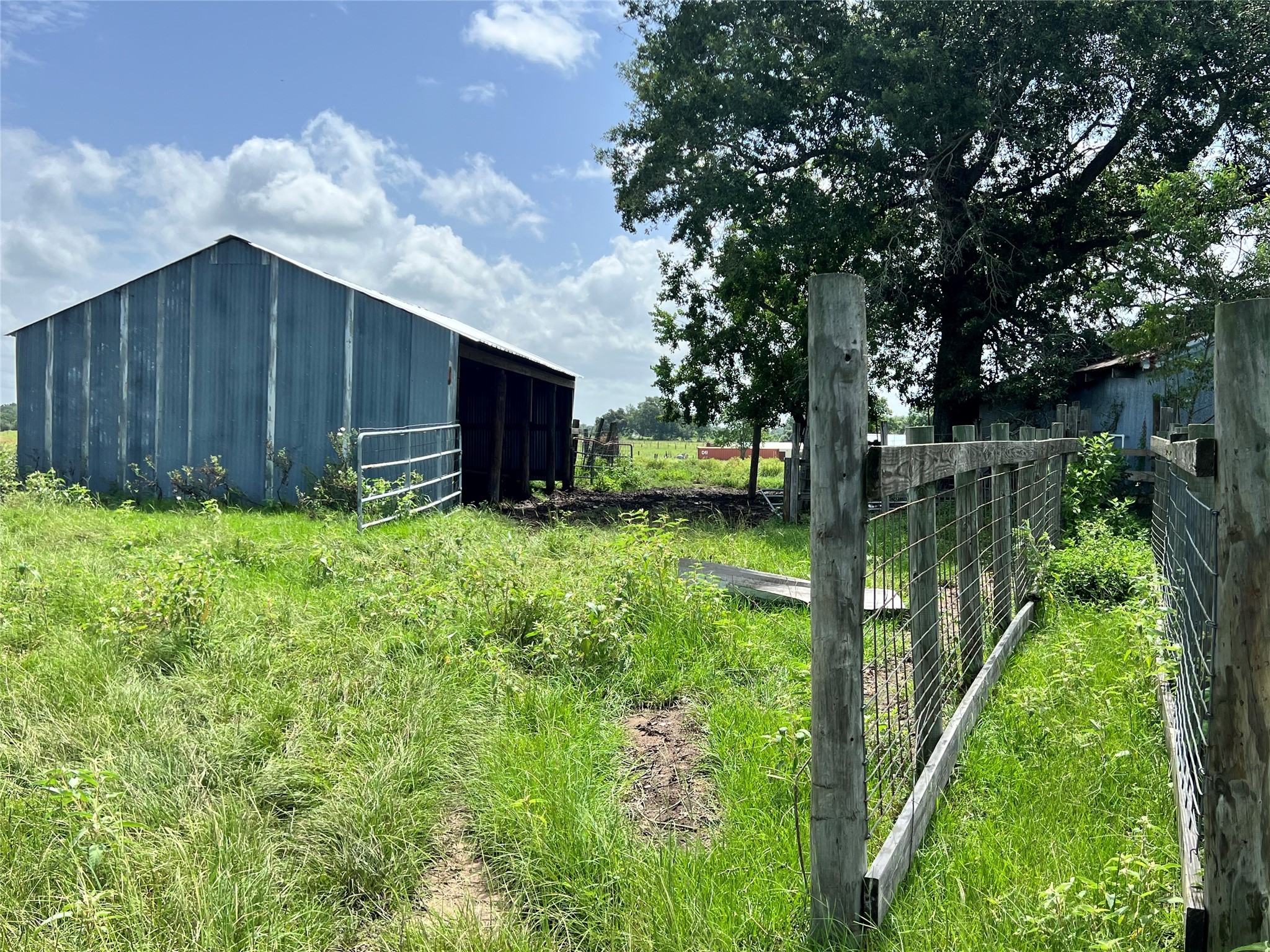 20573 Fontenot Lane Hempstead, TX 77445 - Photo 27 of 36 a backyard of a house with lots of green space