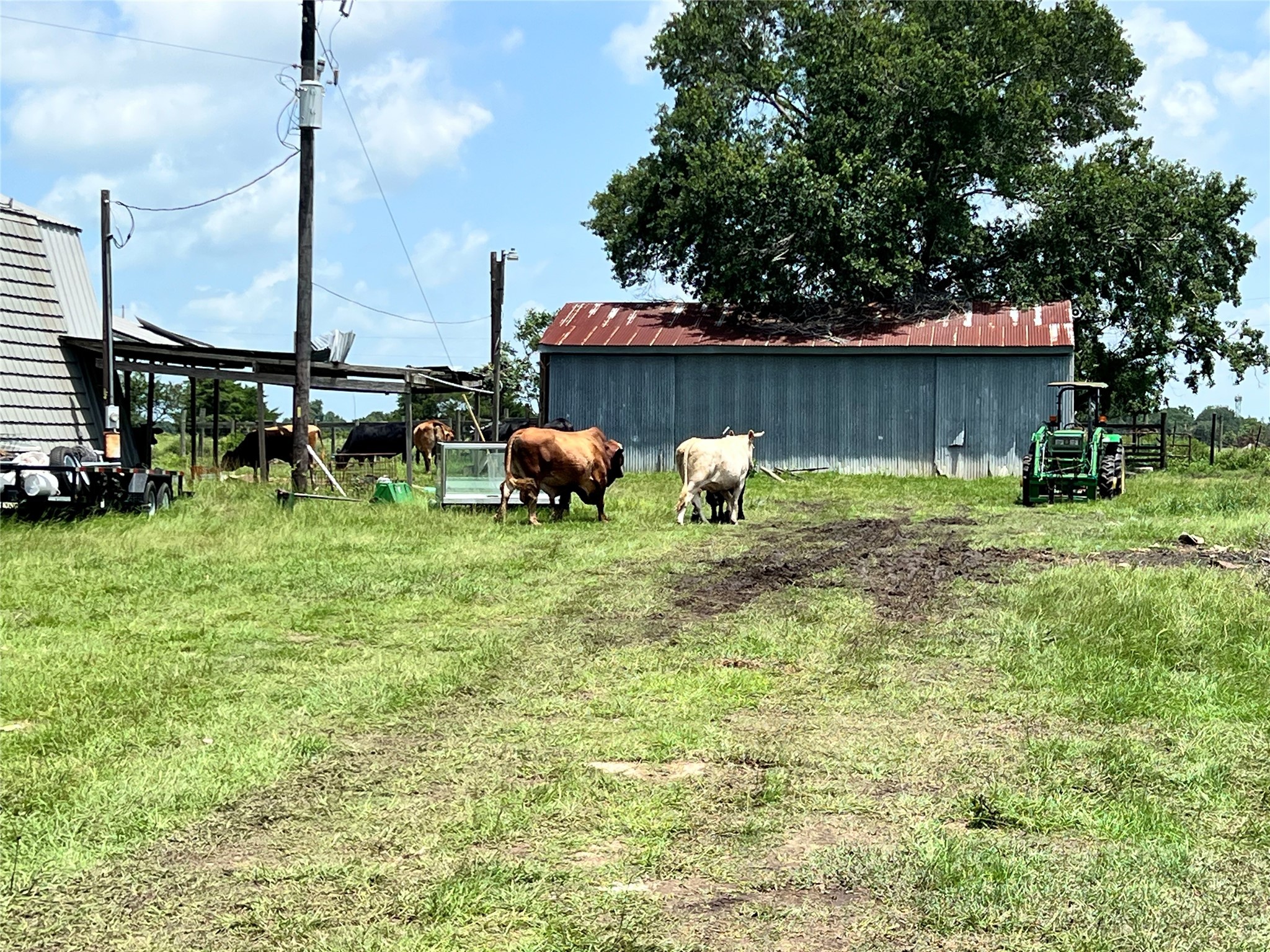 20573 Fontenot Lane Hempstead, TX 77445 - Photo 30 of 36 a backyard of a house with table and chairs