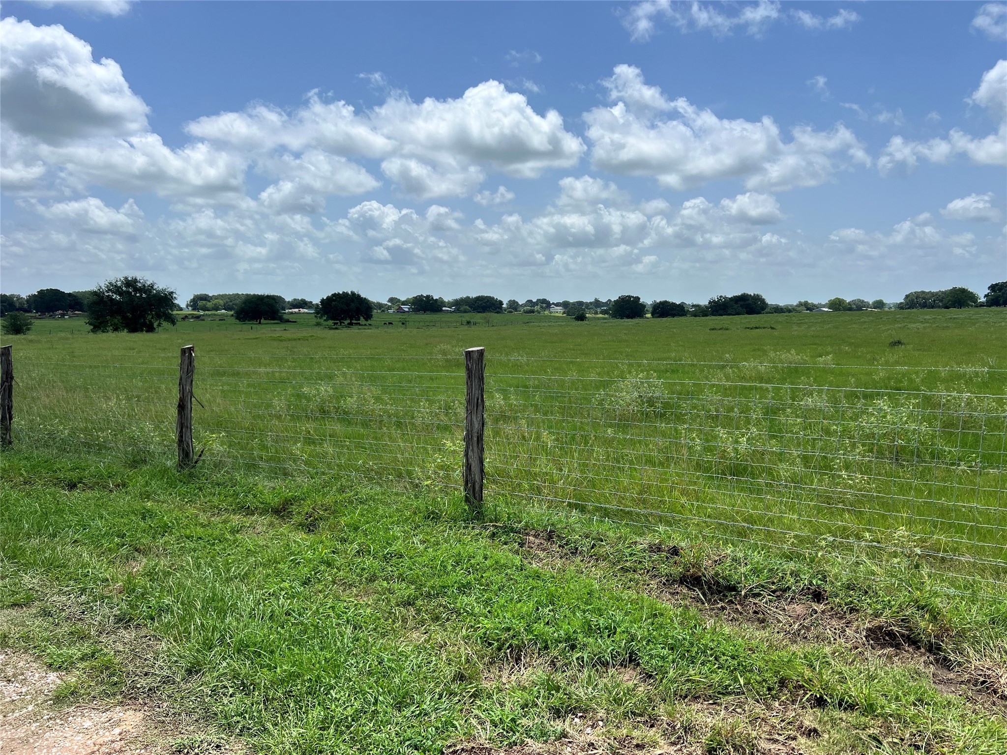 20573 Fontenot Lane Hempstead, TX 77445 - Photo 34 of 36 a view of field with grass and a lake