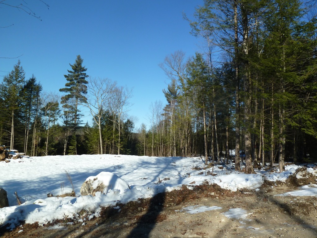 555 Northfield Road Warwick, MA 01378 - Photo 3 of 30 Gallery Image 3