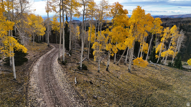 123 Tbd Monroe Canyon Road Monroe, UT 84754 - Photo 50 of 80 View of dirt / gravel road featuring a view of trees