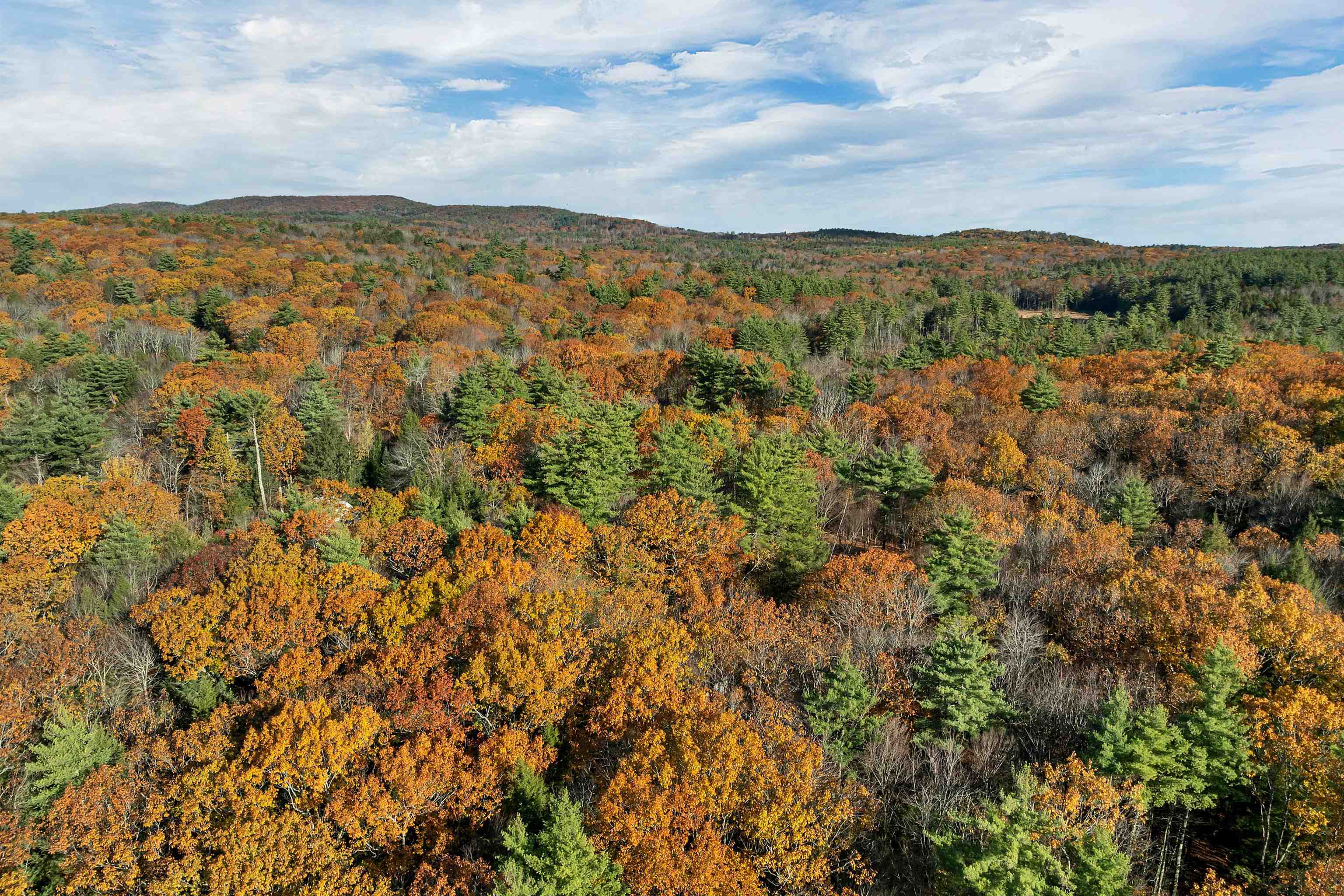 94 Mt Delight Road Deerfield, NH 03037 - Photo 54 of 57